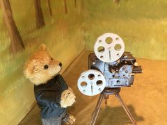 -济州岛泰迪熊博物馆