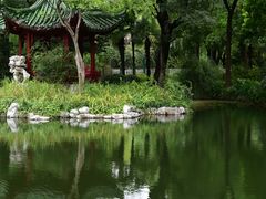 -上海海湾国家森林公园