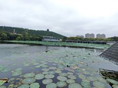 -徐州汉文化景区