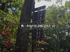 -梧桐庄园