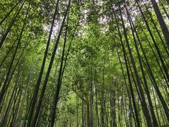 -南山风景名胜区