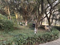 -重庆平顶山公园