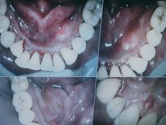 -牙博士口腔品牌连锁(杨浦店)