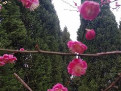 -白塘生态植物园