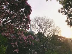 -梧桐山风景名胜区