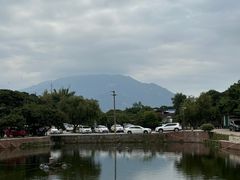 -满記土窑烧鷄波浪山莊