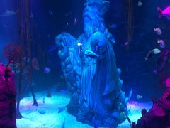 -沈阳海洋探索中心