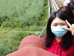 -红山村