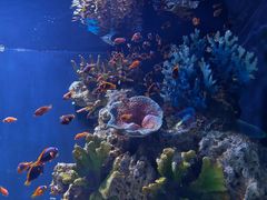 -海合安武汉极地海洋公园