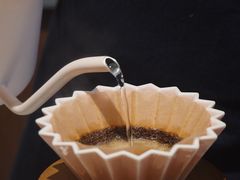 -Punchline Coffee&Roaster(同济大学店)