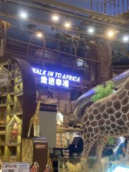 -卡通尼·Safari非洲探索乐园·生日会(金桥国际商业广场店)