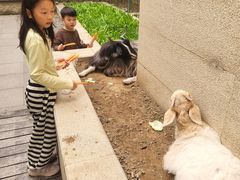 -廊坊固安福朋喜来登酒店