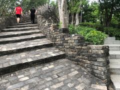 -小南山公园