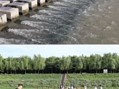 -洨河生态公园