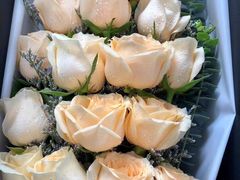 -花到家(富贵鸟花艺行)