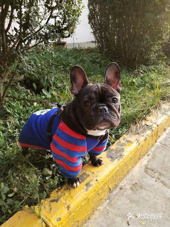 先看看小丫米有多聪明！ 把我整天忙的！回家时间大部分