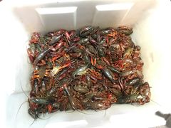 -南阳城烧烤海鲜酒店(和平路店)