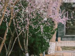-三里河公园