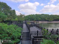 -白马涧龙池景区