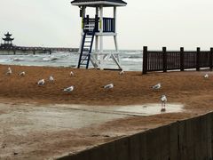 -老虎石海上公园