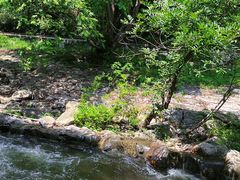 -素山寺森林公园