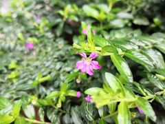 -苏州文旅花间堂·探花府酒店