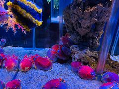 -太平洋海底世界