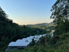 -黄埔油麻山森林公园