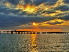 -宝安西湾红树林湿地公园