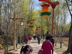 -洛阳市隋唐城遗址植物园