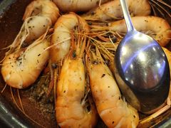 -新白鹿餐厅(百联中环店)