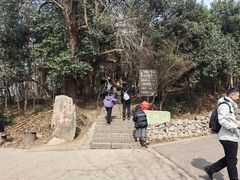 -紫金山山顶公园