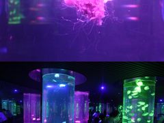 -南昌海洋公园