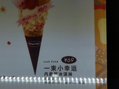 -哈根达斯(SM店)
