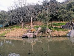 -宁波野生动物园