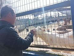 -武汉紫薇都市田园