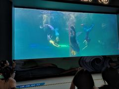 -洛阳龙门海洋馆