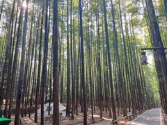 -山王坪喀斯特国家生态公园