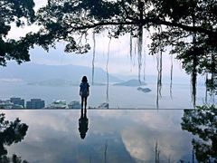 -大埔公路-马料水段香港中文大学(公交站)