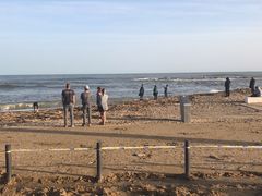 -小巴塞罗那海滩