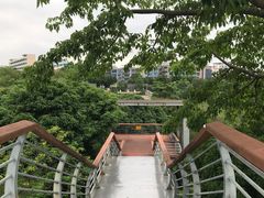 -立新湖公园
