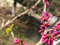 -江南大学(蠡湖校区)