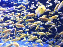 -成都浩海立方海洋公园