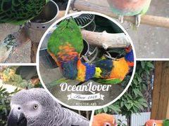 -南宫五洲植物乐园