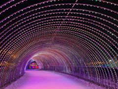 -长春世界雕塑园冰雪艺术天地