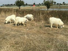 -乡乐园蟹庄·阳澄湖农家乐