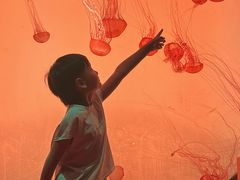 -沈阳海洋探索中心