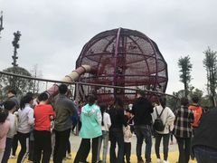 -枫香湖儿童公园