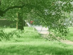 -麦当劳(龙之梦购物中心店)