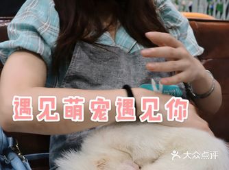有幸和女神一起去淮海路巴黎春天里的一家特色撸宠连锁店